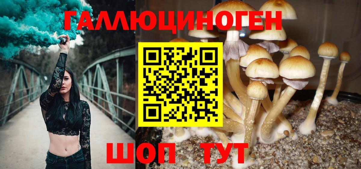 Галлюциногенные грибы мухоморы Белово