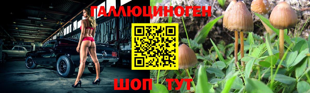 Галлюциногенные грибы Psilocybine cubensis  Галлюциногенные грибы Psilocybe  Вход с VPN  Белово 